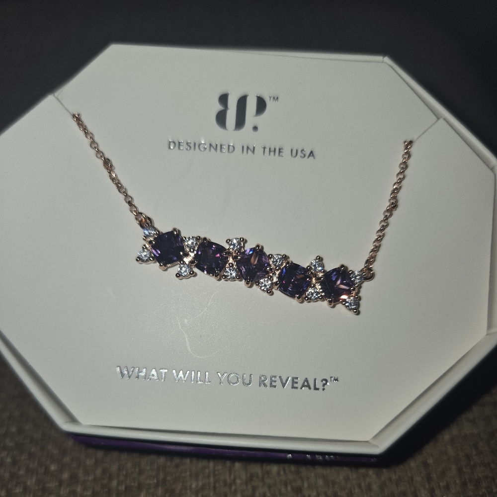 NEW THE SCATTERED BAR FEB. BDAY NECKLACE